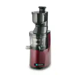 Шнековая соковыжималка Hurakan HKN-CS600H