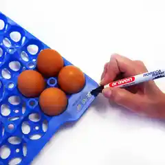 Набор из 4 лотков для яиц для контейнера 061500