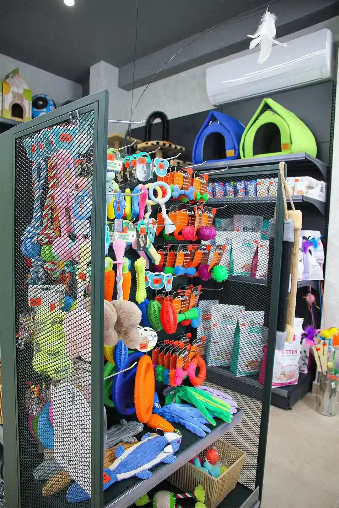 Pets Imperio, Cricova