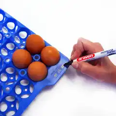 Комплект из 4 лотков для яиц, 290×290×40 мм