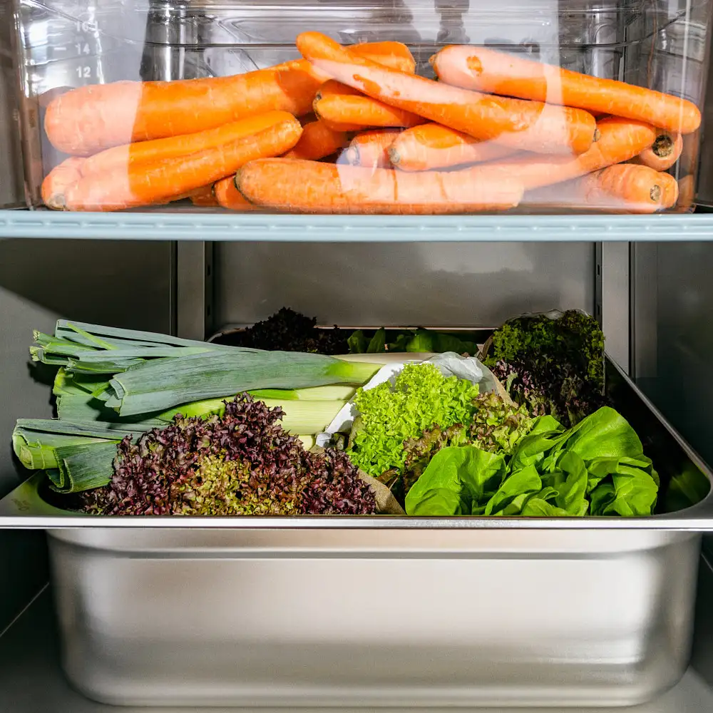 Шкаф холодильный нержавеющий на ножках, GN 2/1, V 600 л Stalgast