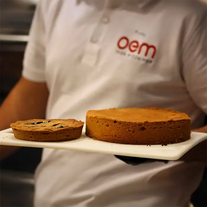 Многофункциональная статическая электрическая духовка MULTIBAKE 440 H16 EVO OEM